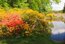 Schlosshotel Gaußig