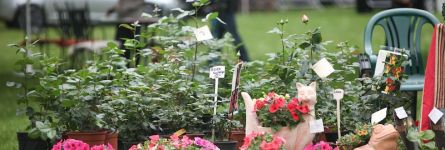 Schlosshotel Gaußig