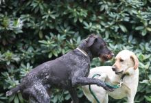 Schlosshotel Gaußig