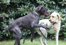 Schlosshotel Gaußig