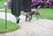 Schlosshotel Gaußig