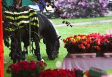 Schlosshotel Gaußig